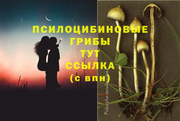 твердый Абдулино