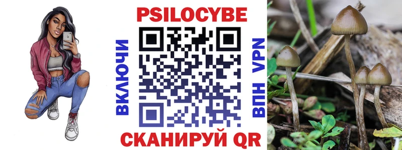 Псилоцибиновые грибы Magic Shrooms  Таганрог 